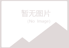 龙岩夜山采矿有限公司